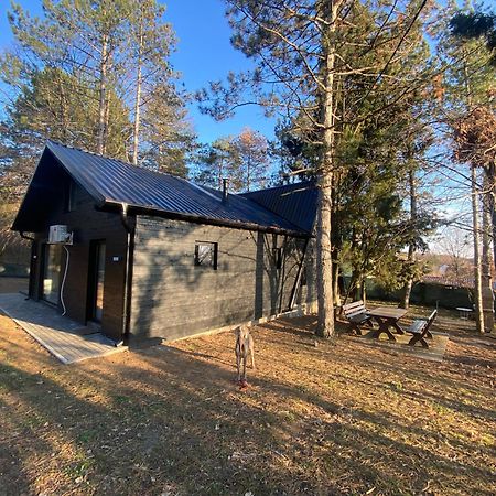 Villa Kuca Za Odmor Vrdnik Exterior foto