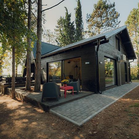 Villa Kuca Za Odmor Vrdnik Exterior foto