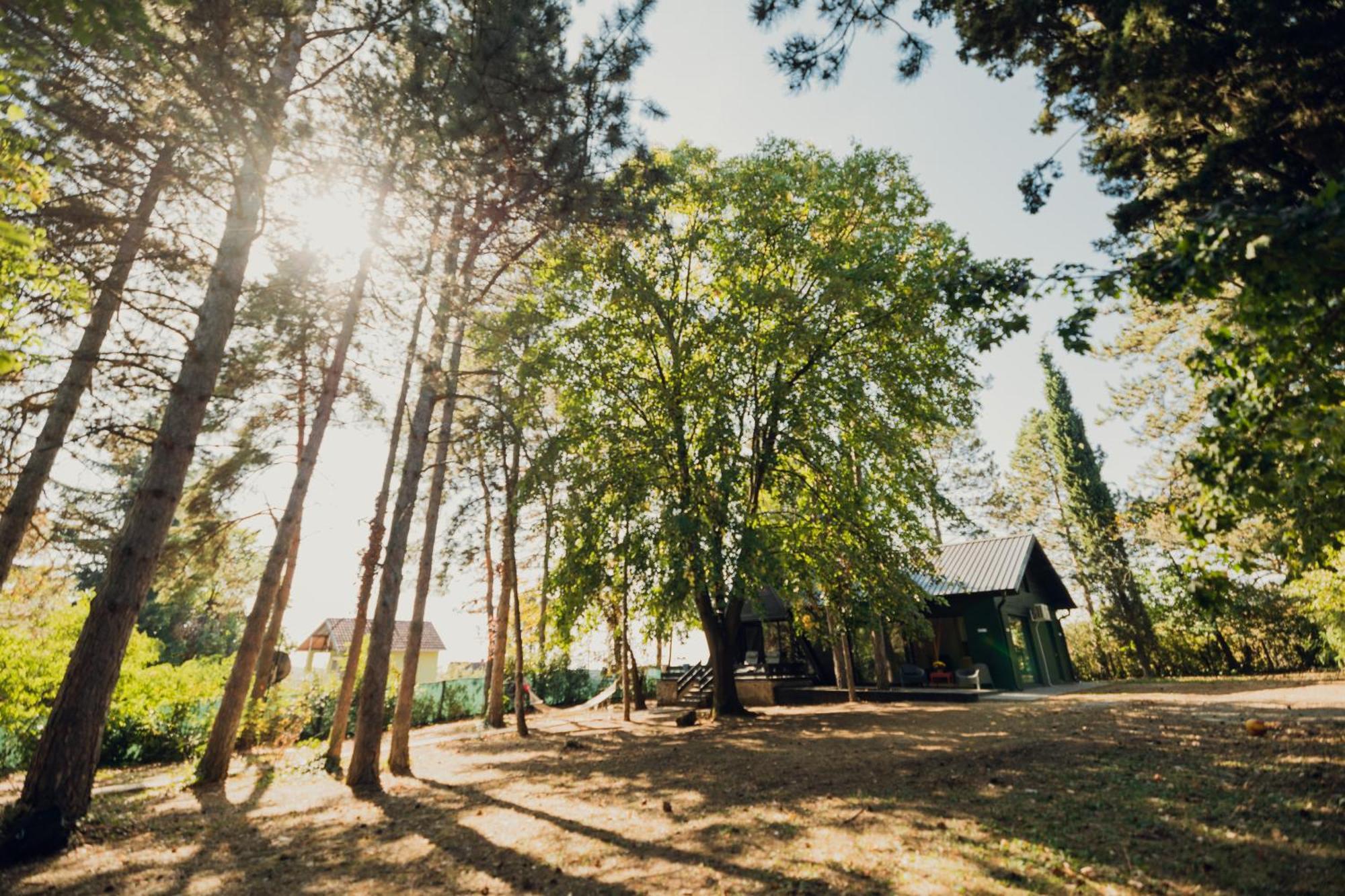 Villa Kuca Za Odmor Vrdnik Exterior foto