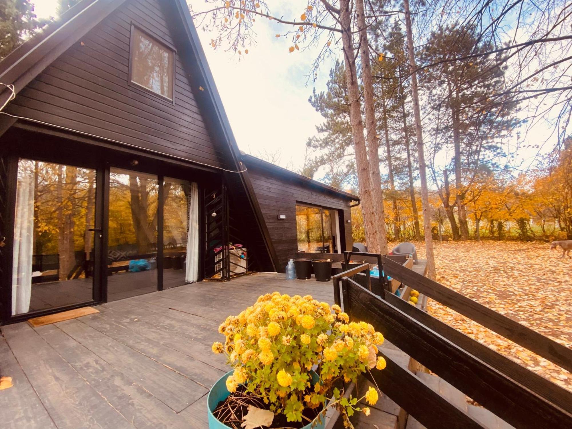 Villa Kuca Za Odmor Vrdnik Exterior foto