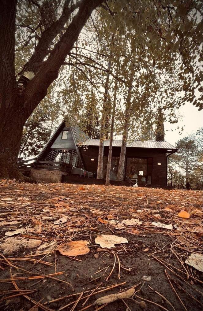 Villa Kuca Za Odmor Vrdnik Exterior foto